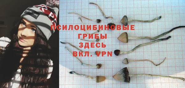 первитин Бородино