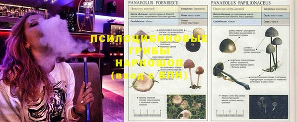 хмурый Бугульма