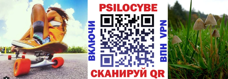 что такое наркотик  Волоколамск  Галлюциногенные грибы Cubensis 